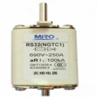 谐晟 保险 RS32 200A 1个