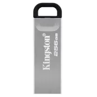 金士顿(KINGSTON)优盘DTKN 256GB USB3.2 金属外壳 读速200MB/s(单位:个)