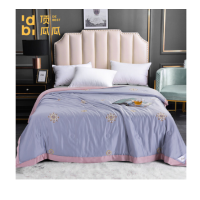 顶瓜瓜天丝夏被初夏DGGXB017