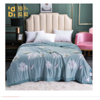 顶瓜瓜天丝夏被遇见DGGXB016