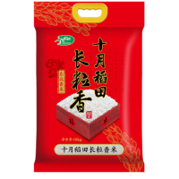 十月稻田(SHIYUEDAOTIAN) 长粒香大米 10kg 东北大米 香米