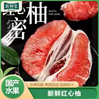 [苏鲜生]新鲜红心柚 净重1.5斤 1个 新鲜柚子水果 蜜柚