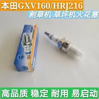 本田 园林机械割草机草坪本田GXV160打草机割灌机四冲程炎花塞火嘴