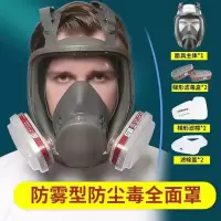 防毒面罩 4006全面罩 一套
