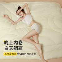 A类玉米纤维加厚保暖冬被子棉被芯单人宿舍学生春秋被褥四季通用