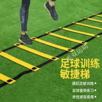 惠居尚品 敏捷梯足球训练绳梯训练梯篮球敏捷训练障碍物速度梯装备跳格梯 6米12节