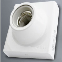 公牛E27螺口灯头底座86型 开关插座面板明装插座灯座LED灯泡球泡灯座G09 Z101A e27灯泡底座(不含灯泡)