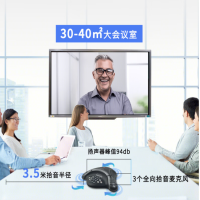 宝利通(POLYCOM) VS300 电话机