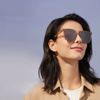 蕉下 昼望系列透野可折叠墨镜 槟椰棕