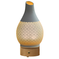 椿柠 创意氛围灯花瓶圆底蓝牙旋转款(款式一)CNYHLX002