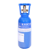 白寅 BY-YQP-2L 氧气瓶便携式家用小型制氧机户外吸氧机器老人孕妇专用氧气罐 2升(单位:瓶)