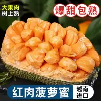 [西沛生鲜]越南红肉菠萝蜜 新鲜水果 香甜可口 1个 净重16-18斤装 西沛水果