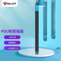 公牛(BULL)PDU机柜插座/插线板/插排/排插/接线板/拖线板 12位总控全长3米 GNE-10C0 单位:个