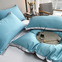 彩翼家纺 100支天丝棉德芙蓝四件套