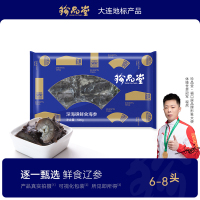 珍品堂深海礁鲜食海参6-8头鲜活大连海参辽刺参500g开袋即食速食