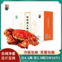 [活蟹]阳澄紫牌阳澄湖大闸蟹2999型 公4.5两 母3.5两 5对/10只 去绳净重 精品活蟹大闸蟹礼盒 水产生鲜