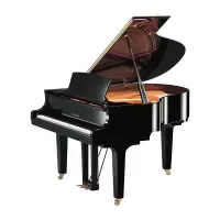 YAMAHA(雅马哈)钢琴C5X-PM