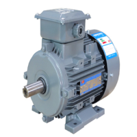 电机 YFBBP3112M-6 380V 2200w 佳木斯