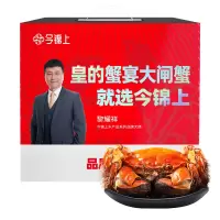 [活蟹]今锦上大闸蟹鲜活螃蟹礼盒全母2.8-3.1两8只装精品中秋国庆礼盒礼品 去绳足重