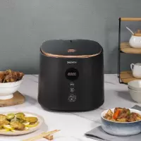 大宇  电饭煲DYFB-306
