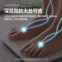 机乐堂(JOYROOM) 有品 智能心率体脂秤 Mini Lite