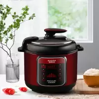 澳柯玛(AUCMA)电压力锅 AKYL-602D