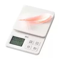 电子秤 厨房秤白色(充电款) 1个