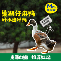 [五个农民] 巢湖仔麻鸭2只 1000g±100g/只 巢湖水域散养新鲜仔麻鸭 活鸭活体现杀 养殖70~100天 顺丰