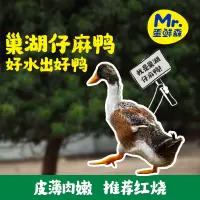 [五个农民] 巢湖仔麻鸭2只 1250g±100g/只 巢湖水域散养新鲜仔麻鸭 活鸭活体现杀 养殖70~100天 顺丰