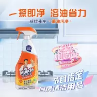 威猛先生去油神器455g1*瓶装