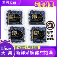 [苏鲜生推荐]顺丰快递 云南紫约蓝莓 个头饱满 4盒 125g/盒 单果15mm+ 口感甜蜜 宝宝辅食