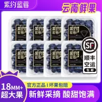 [苏鲜生推荐]顺丰快递 云南紫约蓝莓 个头饱满 8盒 单果18mm+ 125g/盒 口感甜蜜 宝宝辅食