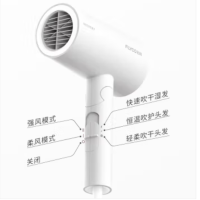 飞科 电吹风 FH6276