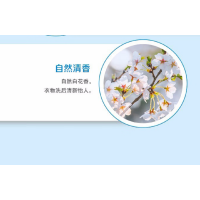 奥妙 酵素手洗 洗衣液 内衣专用 1kg