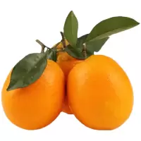 赣南脐橙 5kg