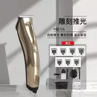 电推剪理发器 标配+1个刀头 1套
