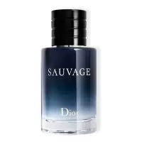 Dior迪奥Sauvage迪奥旷野男士淡香氛经典淡香EDT 60ml