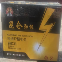 TENDZONE 电瓶(单位:套)