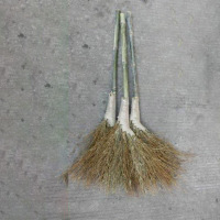 大竹扫把工地学校环卫扫马路扫帚