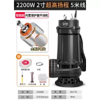 潜水泵2200w2寸 5米线10米水管