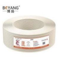 博扬 2M两兆E1同轴电缆 SYV75-2-1*2双芯 BY-2M-1*2-100m 1捆