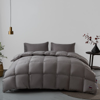 加厚保暖羽绒被冬被芯95白鹅绒酒店单人鸭绒被全棉棉被芯春秋被子LSY