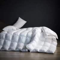 鹅绒被全棉立衬防羽布扭花羽绒被冬被被子春秋被被芯1.8m床上保暖CY