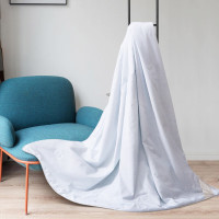 水星家纺DH莘德拉蚕丝被-114345