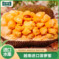 [苏鲜生]越南红肉菠萝蜜 新鲜水果 香甜可口 1个 净重14-15斤装 西沛水果