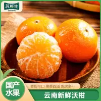 顺丰快递[苏鲜生]云南高原沃柑 3斤装 单70-75mm 大果 时令现摘柑橘子当季蜜桔整箱新鲜水果