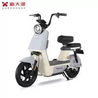 派乐/PALLA 贝塔 新国标48V16Ah铅酸电池电动车代步助力电动自行车 源彩灰(不带菜篮+靠背)