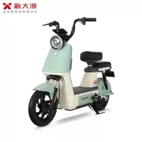 派乐/PALLA 贝塔 新国标48V16Ah铅酸电池电动车代步助力电动自行车 素颜绿(不带菜篮+靠背)