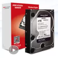 海康威视(HIKVISION)HK724TAH 硬盘 4TB 海康LOT企业级硬盘 7200RPM SATA 单位:块