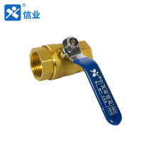 信业 黄铜球阀 全铜内螺纹球阀大体216 开关阀门 4分DN15(50mm) 1只